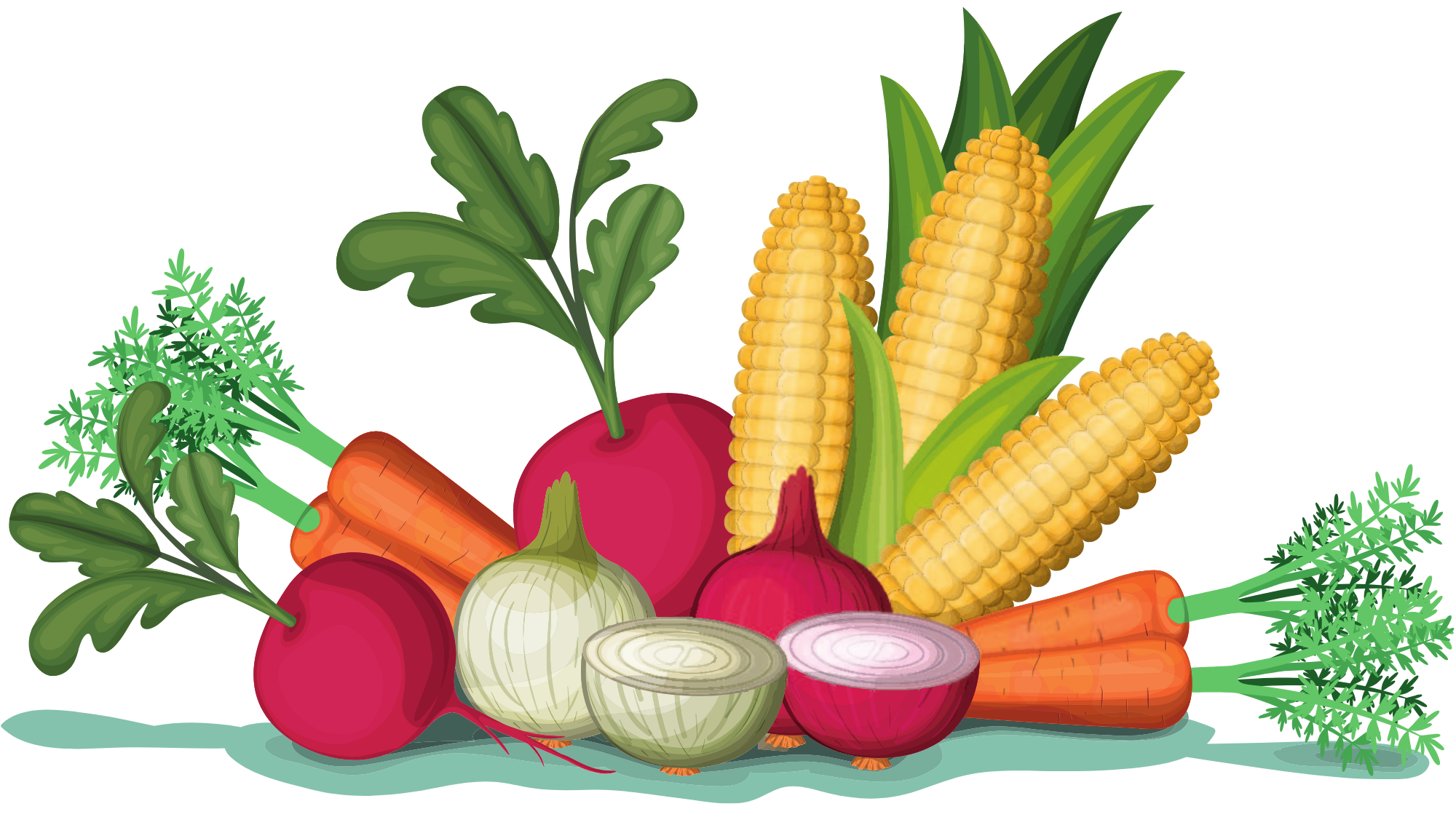 Illustration de légumes frais symbolisant la nutrition – diététicienne à Nantes.